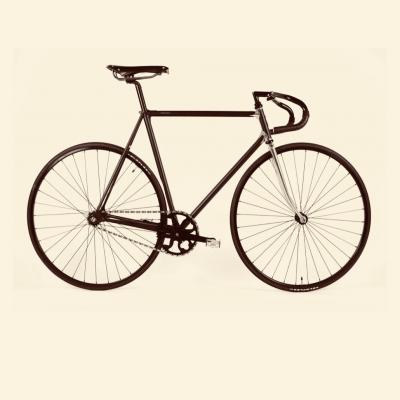 heritage, bikes, goldfinger