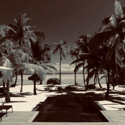 tertiaroa, the brando