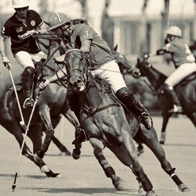 santa maria polo club