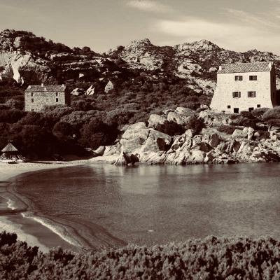 domaine murtoli corse